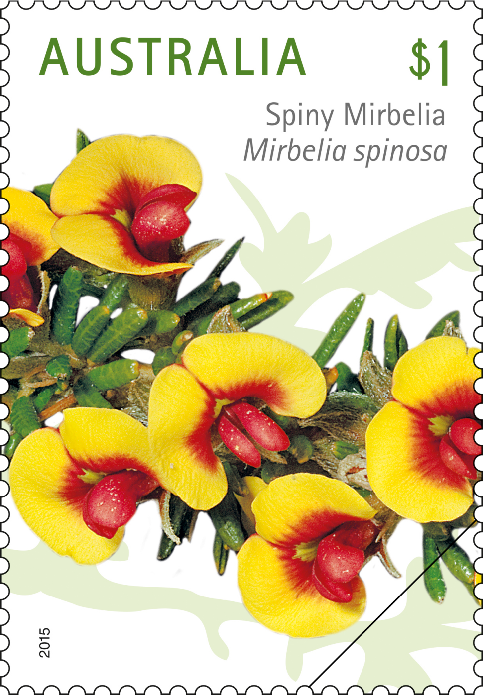 $1 - Spiny Mirbelia, Mirbelia spinosa